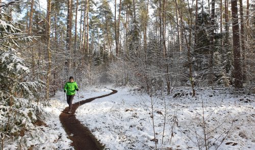 Artikelbild zu Artikel 'Novemberlauf 10. November'